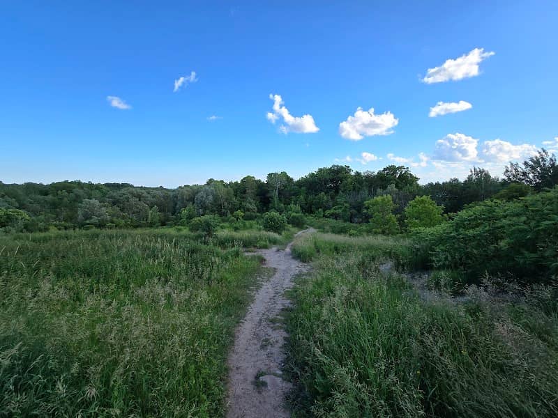 Harmony Valley Park and Off-Leash Dog Park - Image 3
