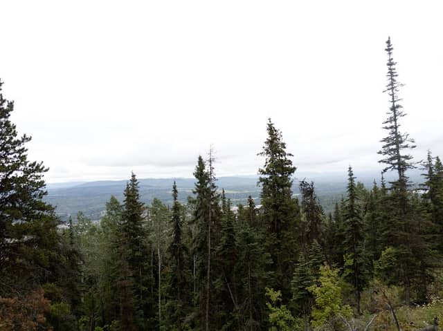 The Bluff Recreation Site - Image 3