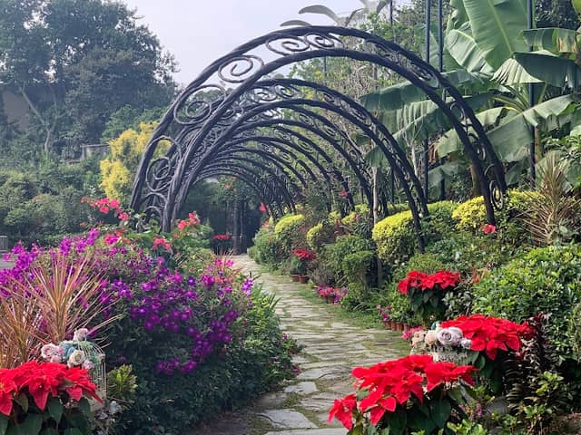 Ma Wan Park Nature Garden - Image 1