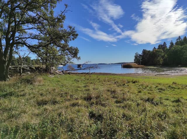 Näsudden nature reserve - Image 1