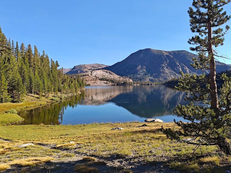 Tioga Lake Lookout - Image 1