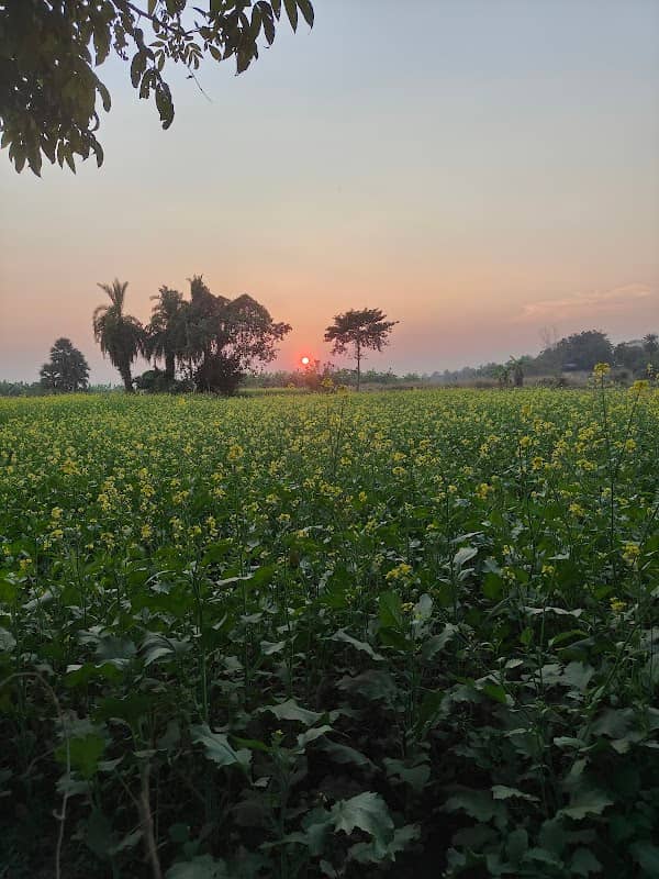 Gandhi Ghat - Image 2