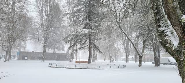McMitchell Park - Image 1