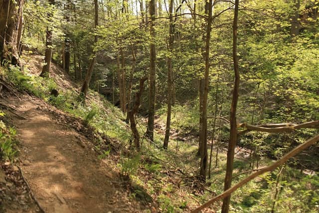 Boulder Canyon - Image 2