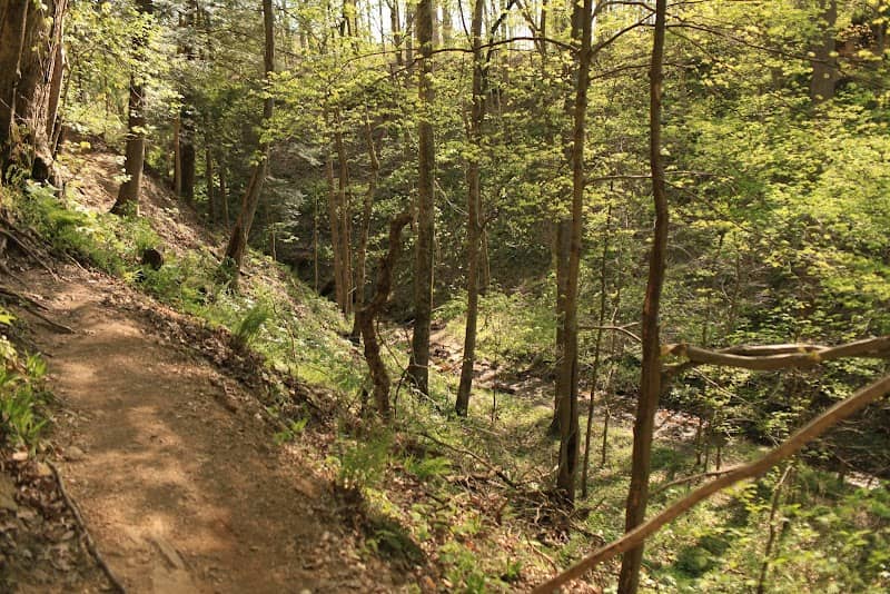 Boulder Canyon - Image 2