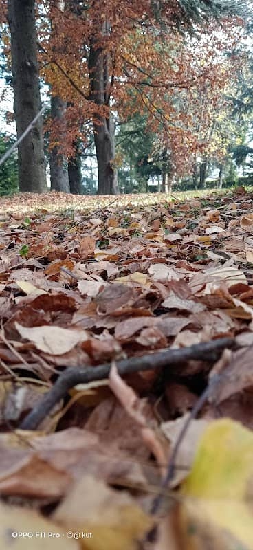 Parco Fatebenefratelli - Image 2