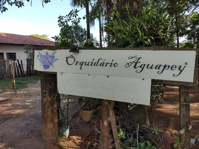 Orquidário Aguapey - Image 1