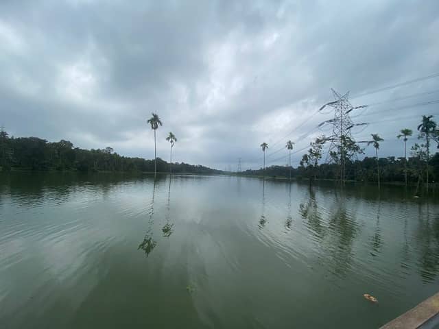 Kaaroorkavu Paddy Vista, Piravom - Image 1