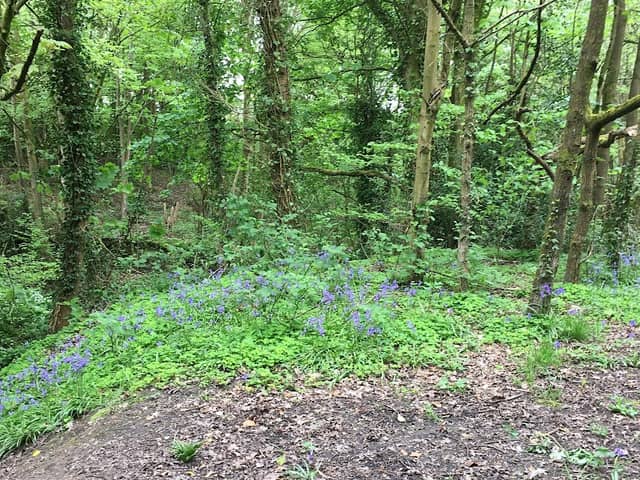 Cunningham Clough Local Nature Reserve - Image 2