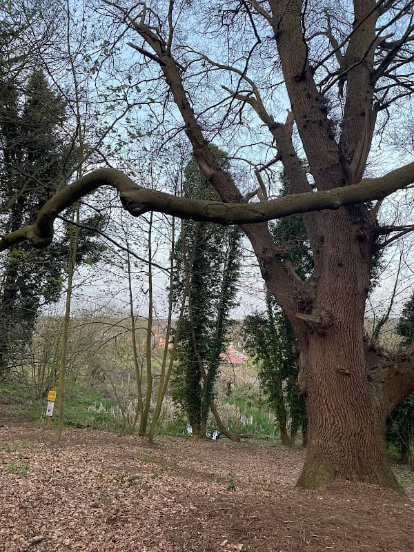 Melton Woods - Image 2