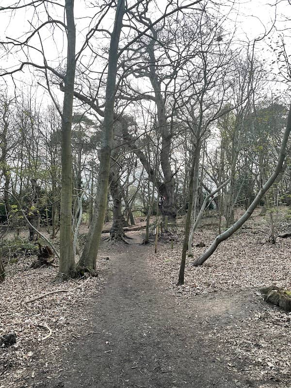 Melton Woods - Image 1