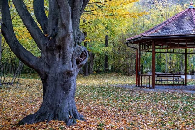 Scherz Park - Image 1