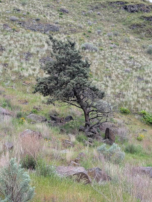Climber's Trail (To Lower Wall) - Image 1