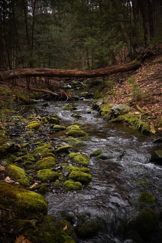 Tom’s Creek Trailhead - Image 1