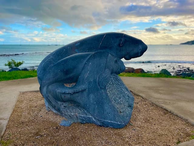 The Dugong - Image 1