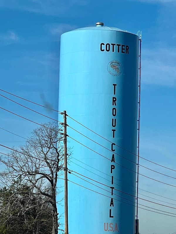 Gassville Water Tower/Trout Captal - Image 2