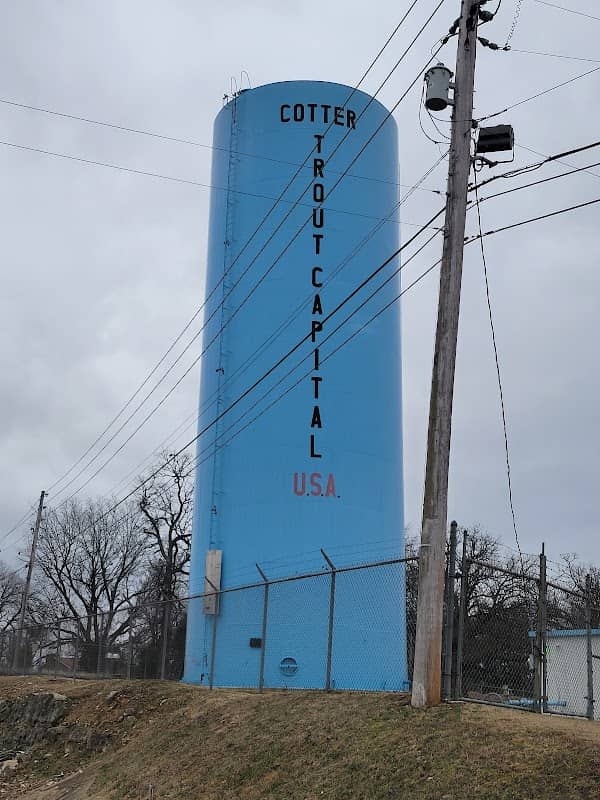 Gassville Water Tower/Trout Captal - Image 1