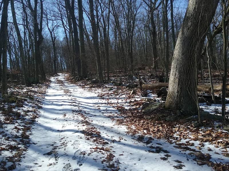 Short Mountain Wildlife Management Area - Image 3