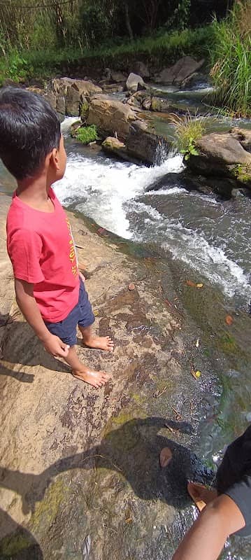 Saheem Falls - Image 2