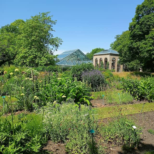 Botaniska trädgården - Image 2