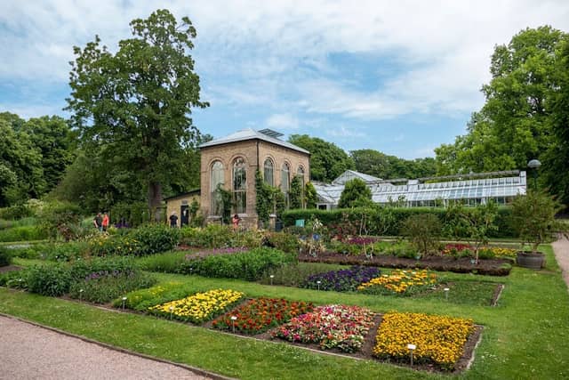 Botaniska trädgården - Image 1