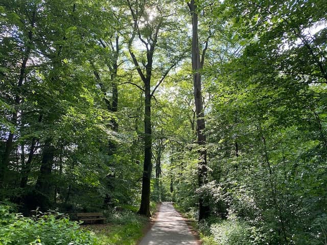 Stadtpark - Image 1