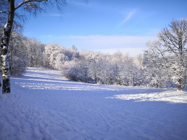 Stadtpark - Image 3