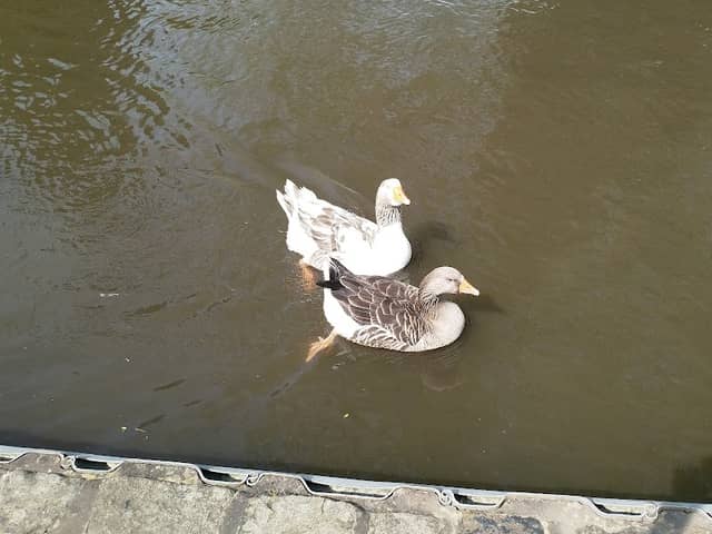 Dallow Lock - Image 2