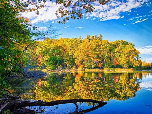 Durand Eastman Park - Image 3