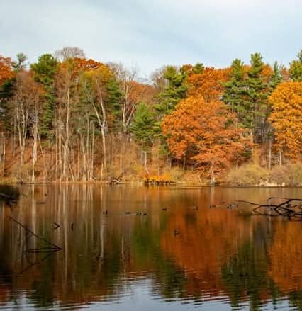Durand Eastman Park - Image 1