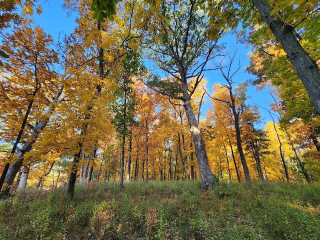 ParkLands Merwin Preserve West Gate - Image 1