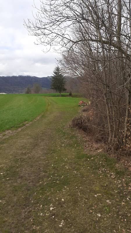 Mühle Wanderweg - Image 2