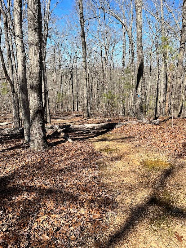Reinhardt Biking & Hiking Trails - Image 1