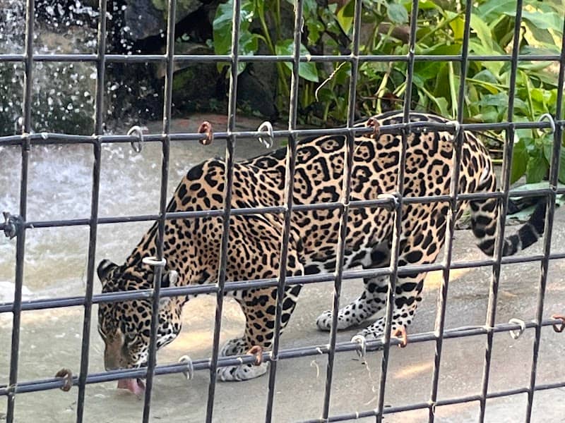 The Texas Zoo - Image 2