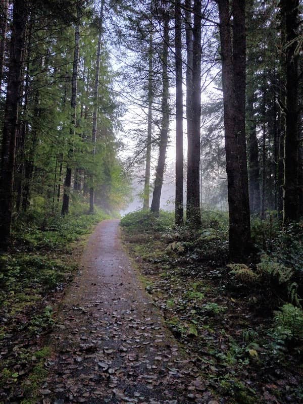 Makarenko Park - Image 2