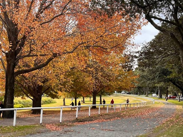 The Celebration Steps - Image 2