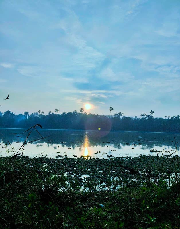 Vettackal Offroad Viewpoint - Image 1