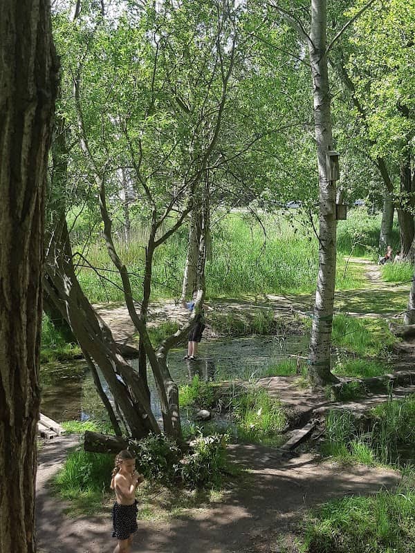 Tiny Forest 'Krachtbossie' - Image 2