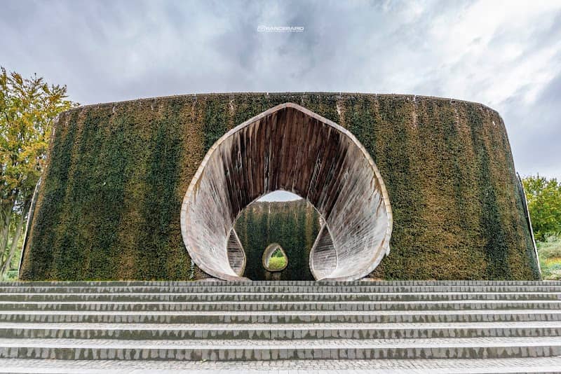 SoleArena - Image 1