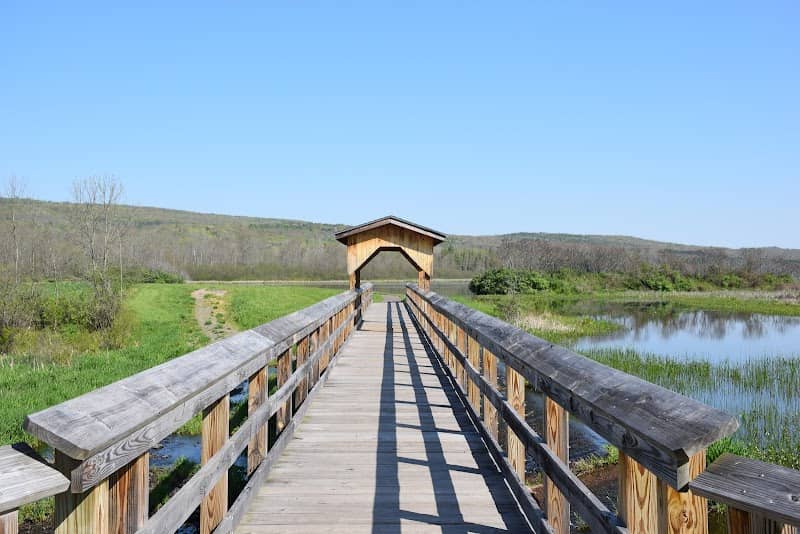 Birdseye Hollow Park - Image 2
