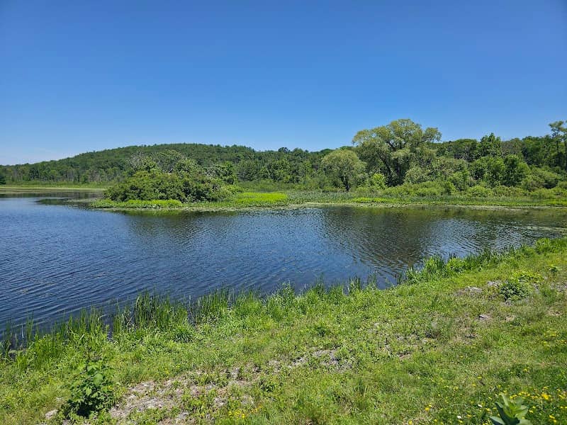 Birdseye Hollow Park - Image 1