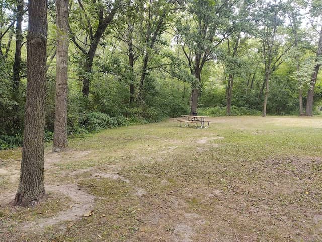 Sand Bluff Bird Observatory - Image 2