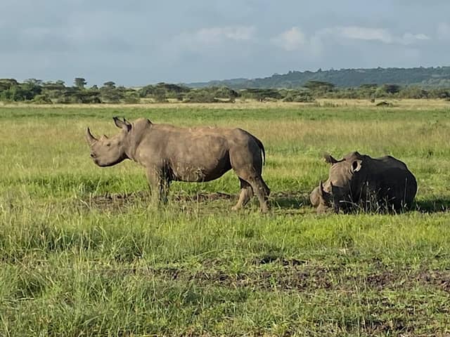 Marker 2B (Nairobi National Park) - Image 1