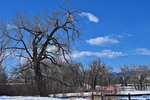 Slaughterhouse Gulch Park - Image 2