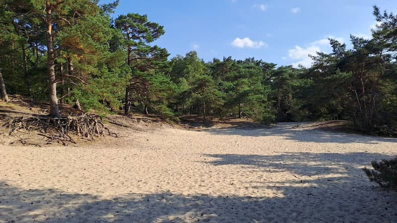De Grote Sahara - Image 1