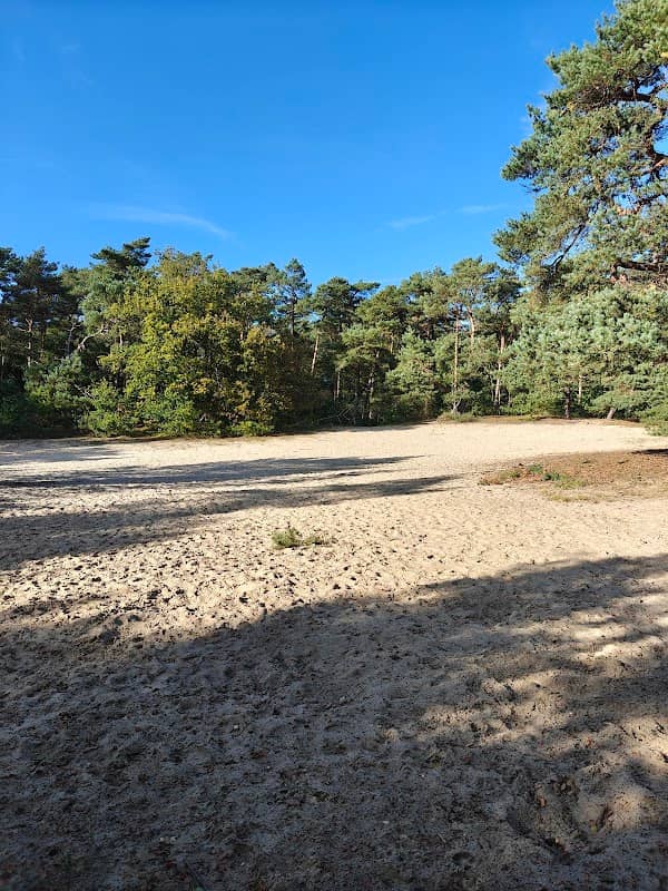 De Grote Sahara - Image 2