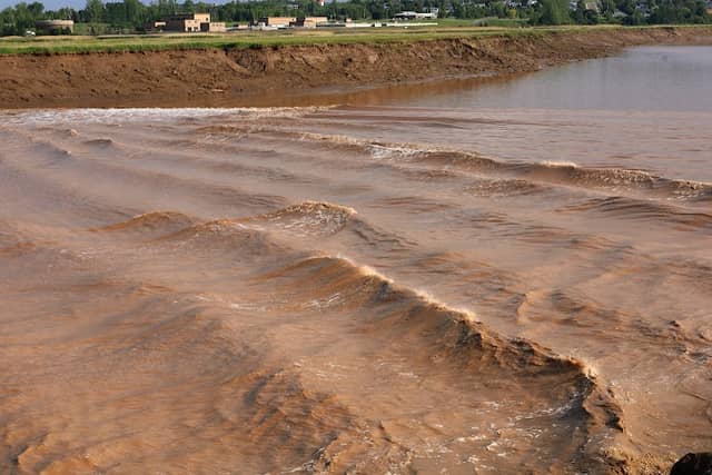 Bore Park - Image 1