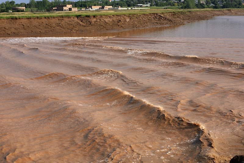 Bore Park - Image 1