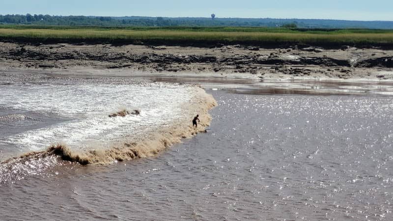 Bore Park - Image 2