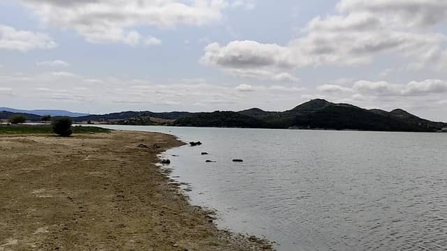 Txoria hondartza naturista - Image 1